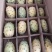 火参果刺角瓜奇特水果无糖水果