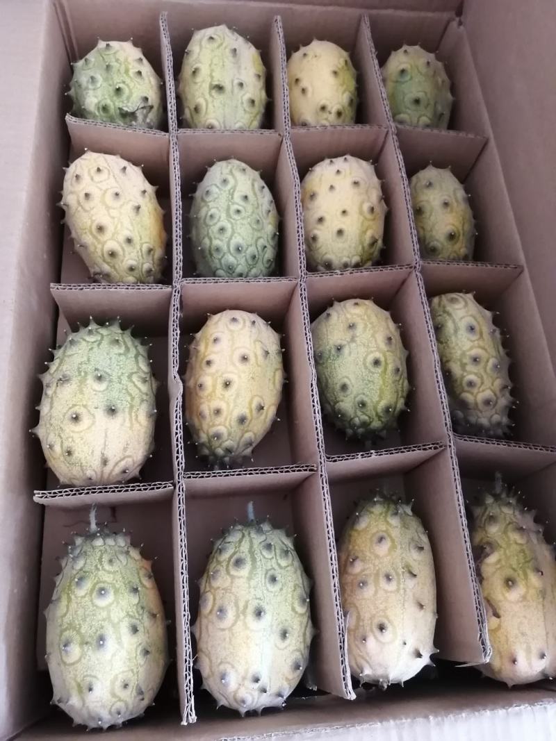 火参果刺角瓜奇特水果无糖水果
