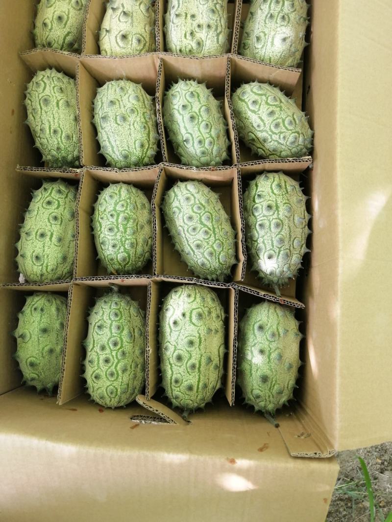火参果刺角瓜奇特水果无糖水果