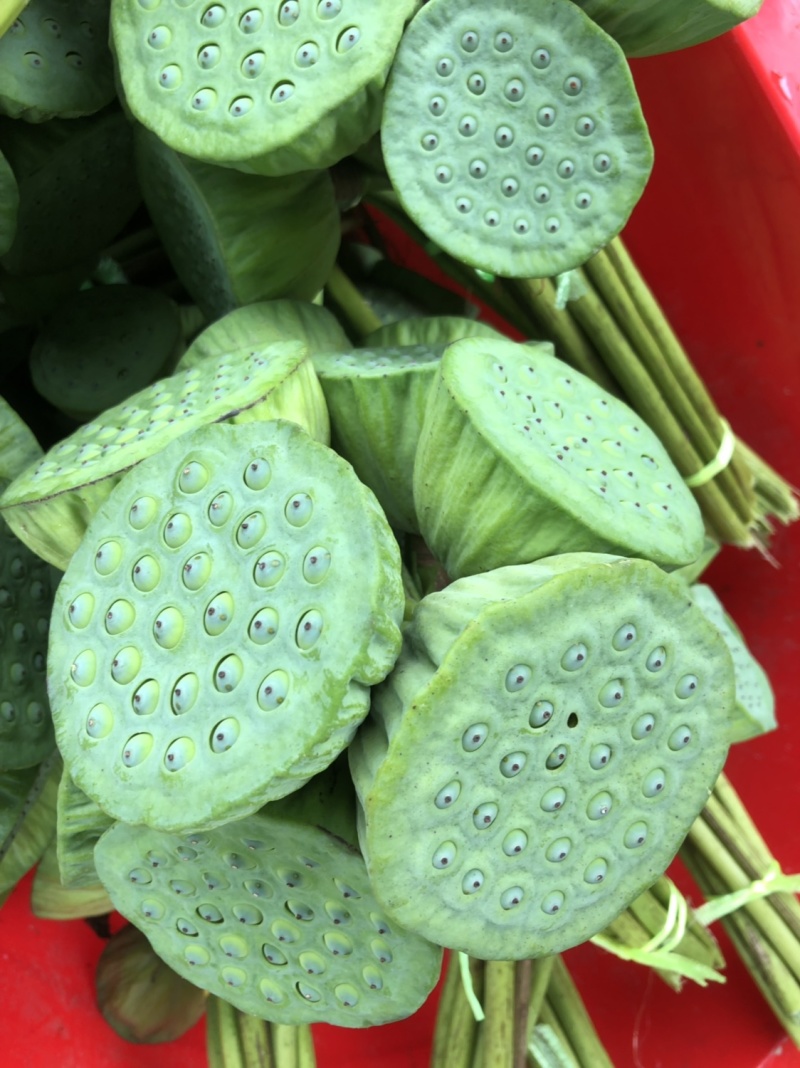 藕带旺季，莲蓬大量上市