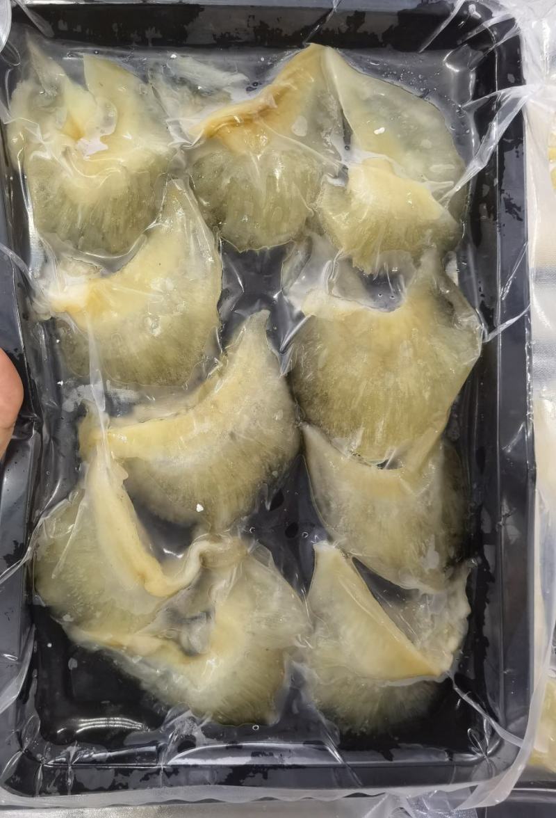 即食金勾翅30朵鱼翅牙黑虎翅翅针牙拣翅