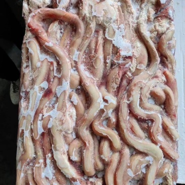 牛鞭，无鞭跟质量好价格低