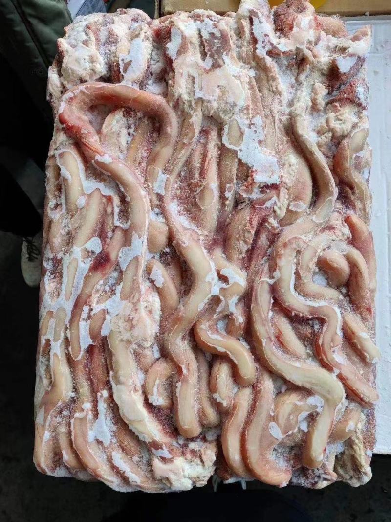 牛鞭，无鞭跟质量好价格低