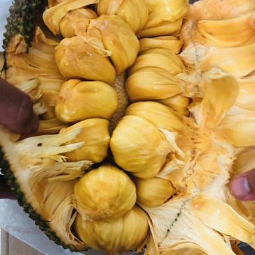 榴莲蜜，长得像菠萝蜜，却跟榴莲一个味道的特殊水果