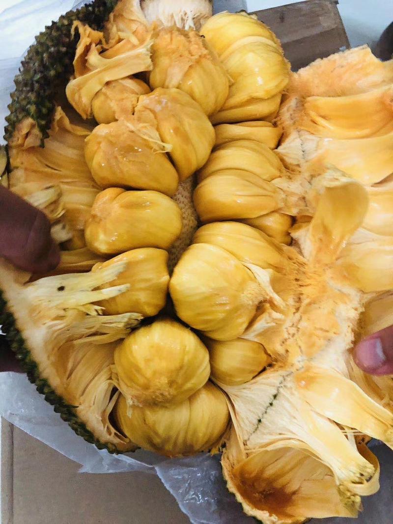 榴莲蜜，长得像菠萝蜜，却跟榴莲一个味道的特殊水果