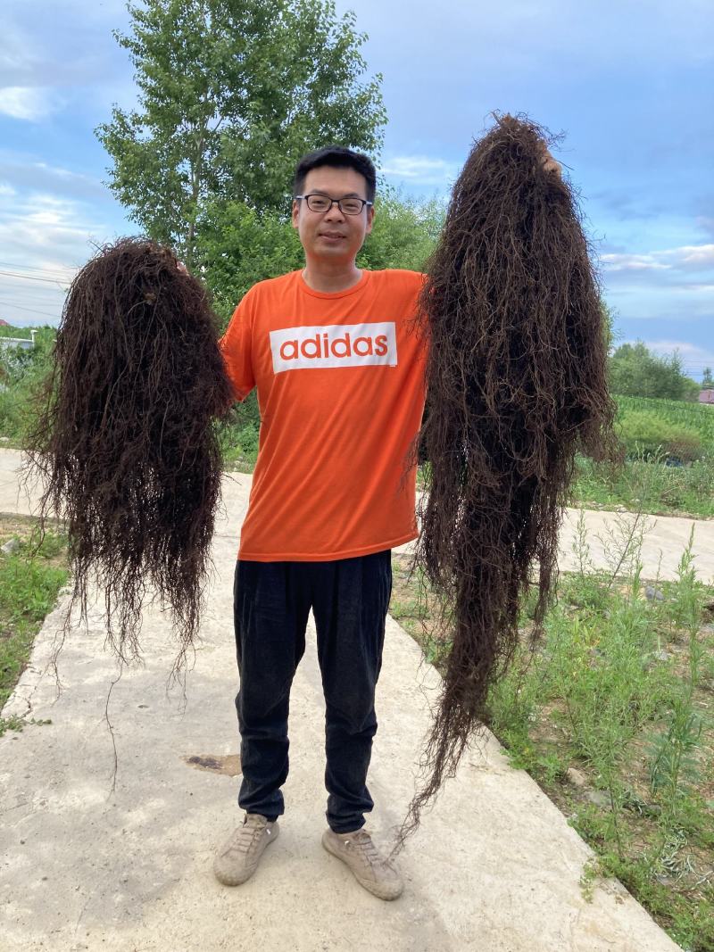 野生威灵仙，滚筒机器洗货，无杂根都是精心挑选的。质量求精