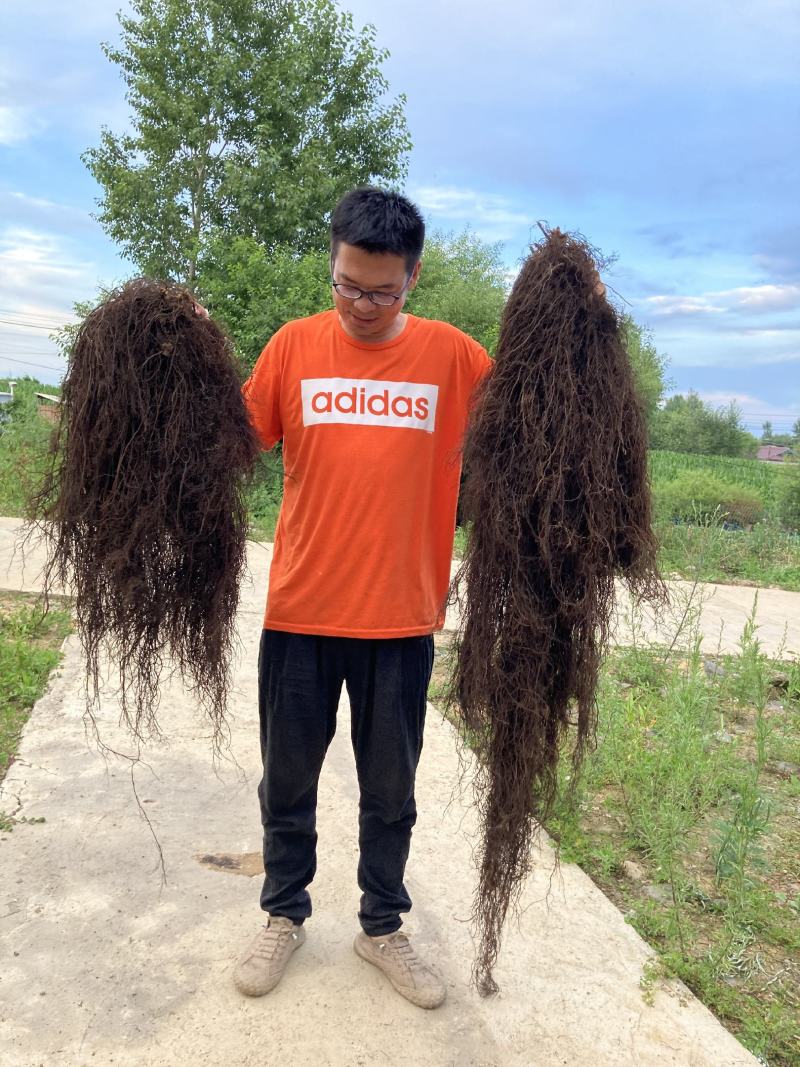 野生威灵仙，滚筒机器洗货，无杂根都是精心挑选的。质量求精