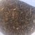 仙草凉粉草（草粿草）纯叶、切草高胶质有草香可批发