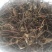 仙草凉粉草（草粿草）纯叶、切草高胶质有草香可批发