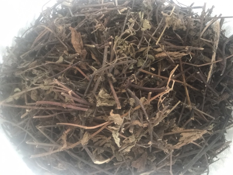 仙草凉粉草（草粿草）纯叶、切草高胶质有草香可批发