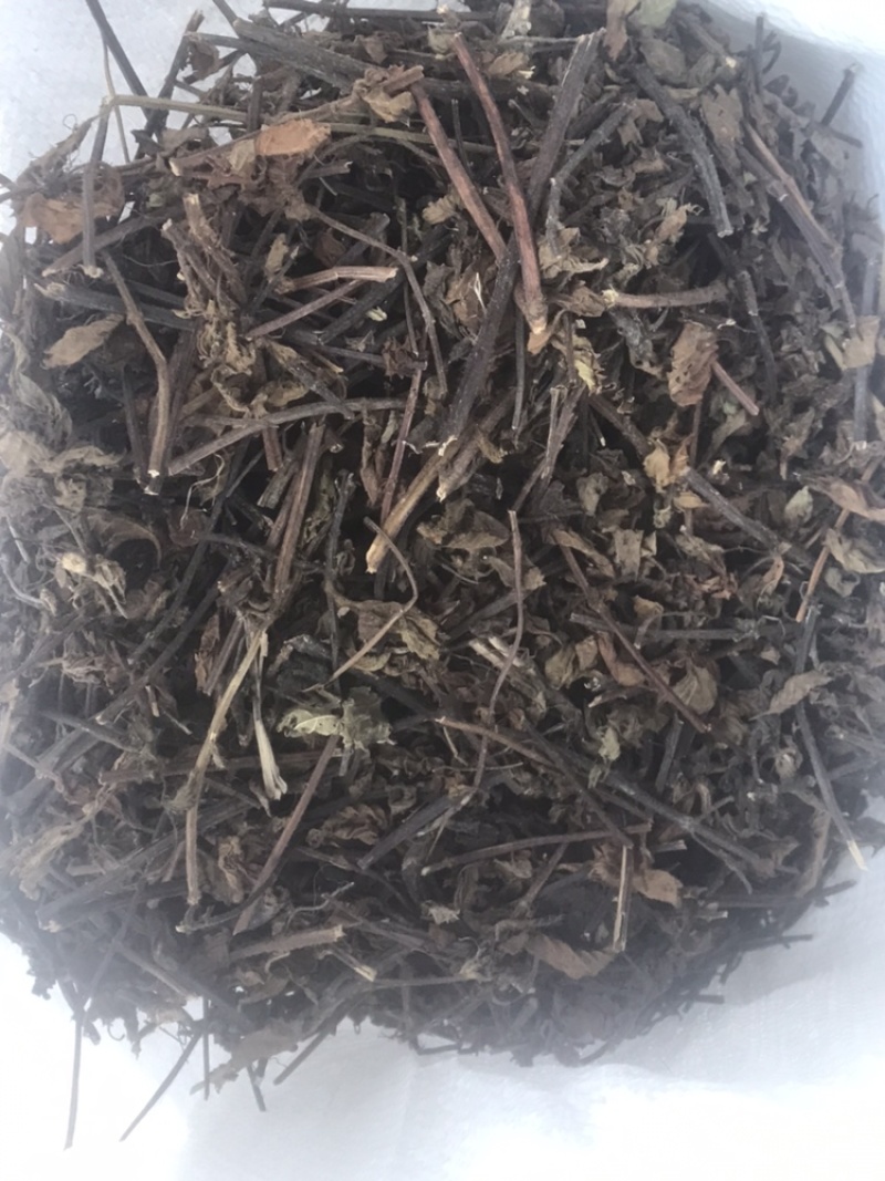 仙草凉粉草（草粿草）纯叶、切草高胶质有草香可批发