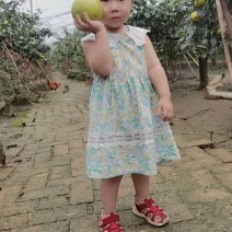（脆甜无渣）皇冠梨大量批发！量大从优！！