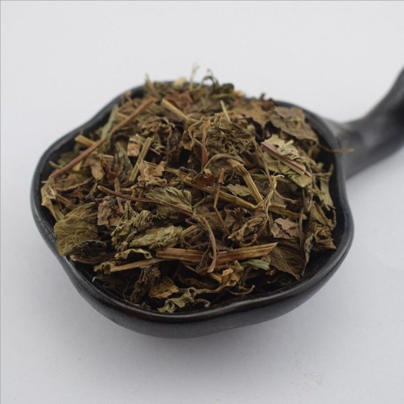 中药材透骨消连钱草遍地香过墙风透骨消草透骨风