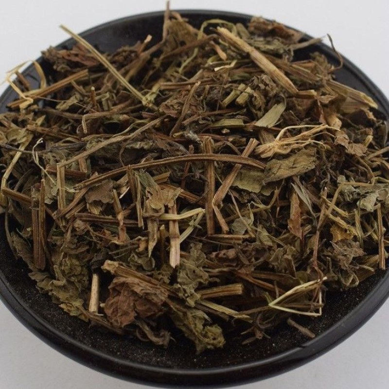 中药材透骨消连钱草遍地香过墙风透骨消草透骨风