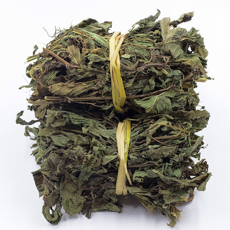 中药材透骨消连钱草遍地香过墙风透骨消草透骨风