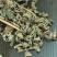仙鹤草根中药材野生无硫仙鹤草根龙芽草仙鹤草纯根