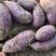 紫罗兰，紫薯，口感特别香甜糯，丘陵沙土地，有精品，有通货