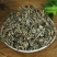 叶下珠野生珍珠草中药材正品叶下珠中草药店铺买二送