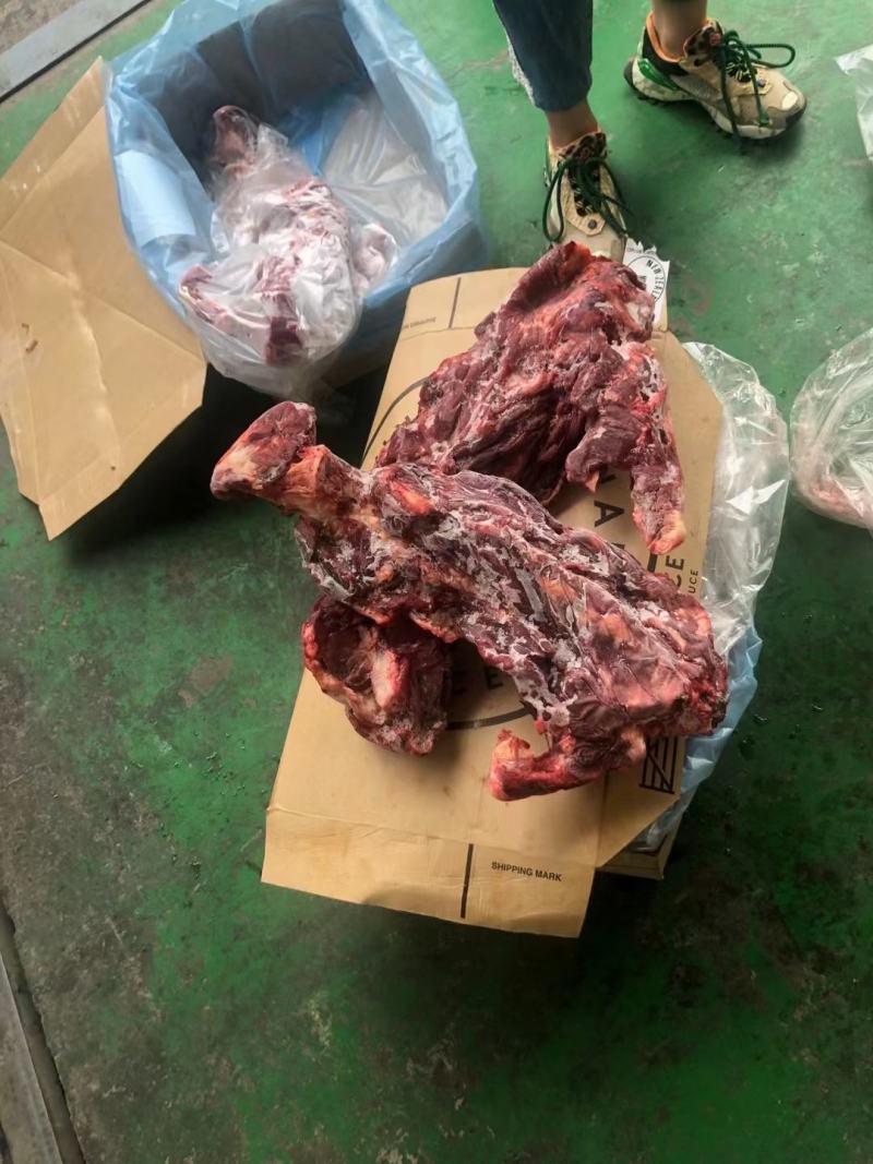 牛脖骨现在实图拍摄！质量好满肉！