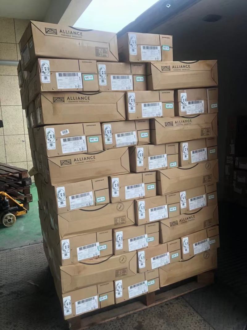 牛脖骨现在实图拍摄！质量好满肉！
