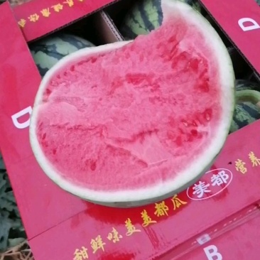 甘肃平凉精品美都，产地批发，包熟包甜，专业代办团队