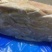国产半成品牛肚，带金钱肚，质量保障，价格美丽欢迎致电咨询