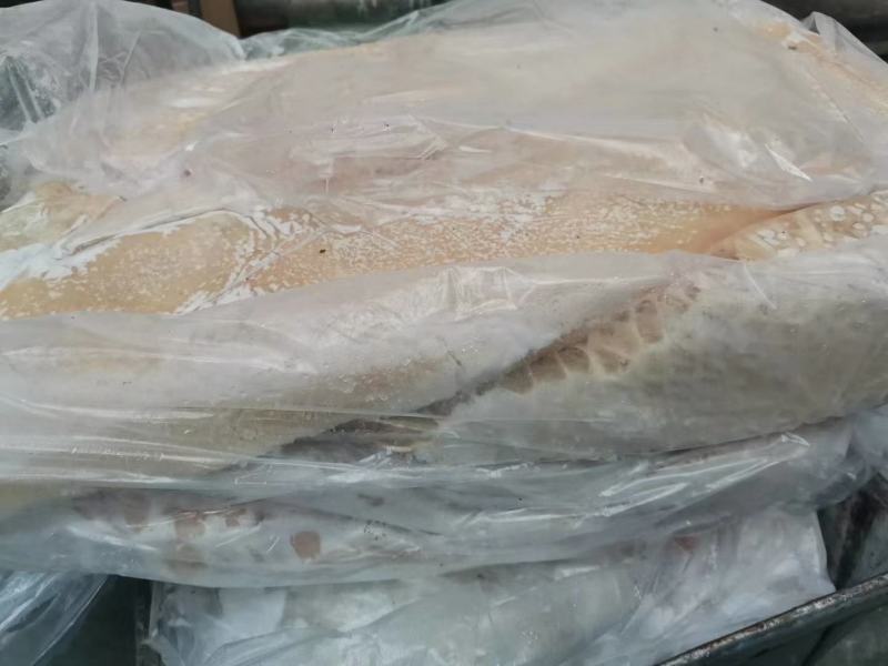国产半成品牛肚，带金钱肚，质量保障，价格美丽欢迎致电咨询