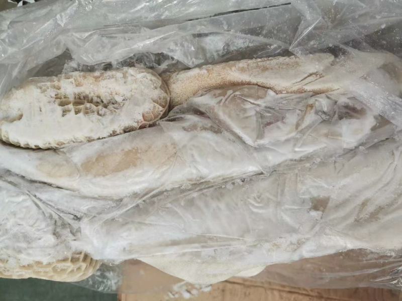 国产半成品牛肚，带金钱肚，质量保障，价格美丽欢迎致电咨询