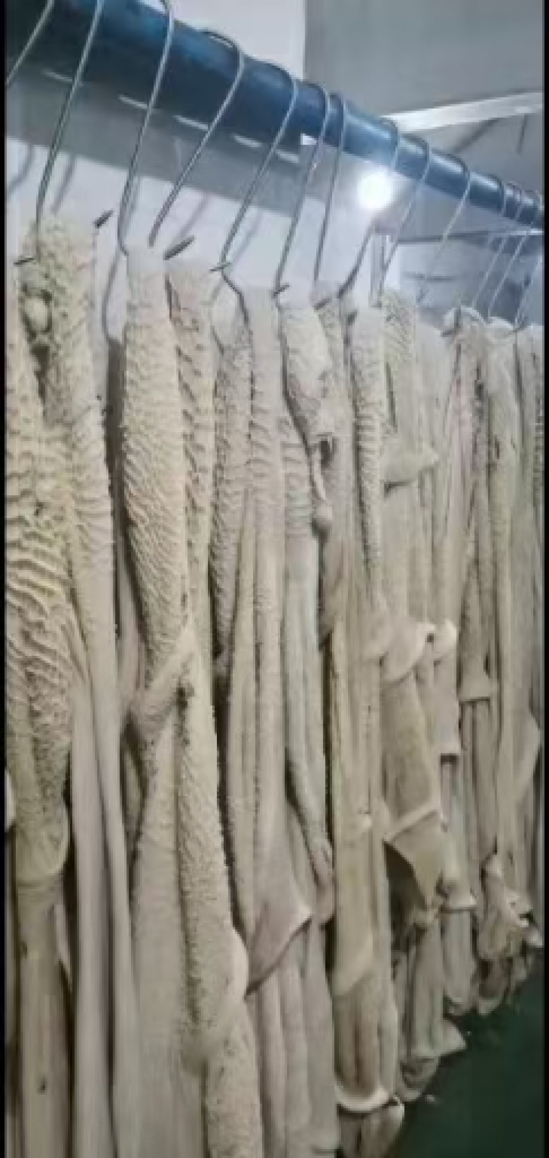 国产半成品牛肚，带金钱肚，质量保障，价格美丽欢迎致电咨询