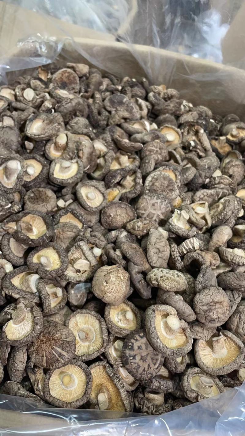 春栽冬菇精选特面产地直发，干香菇一手货源专业种植分装