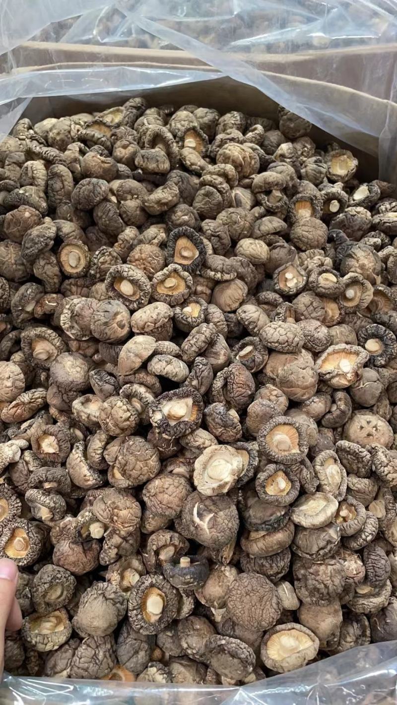春栽冬菇精选特面产地直发，干香菇一手货源专业种植分装