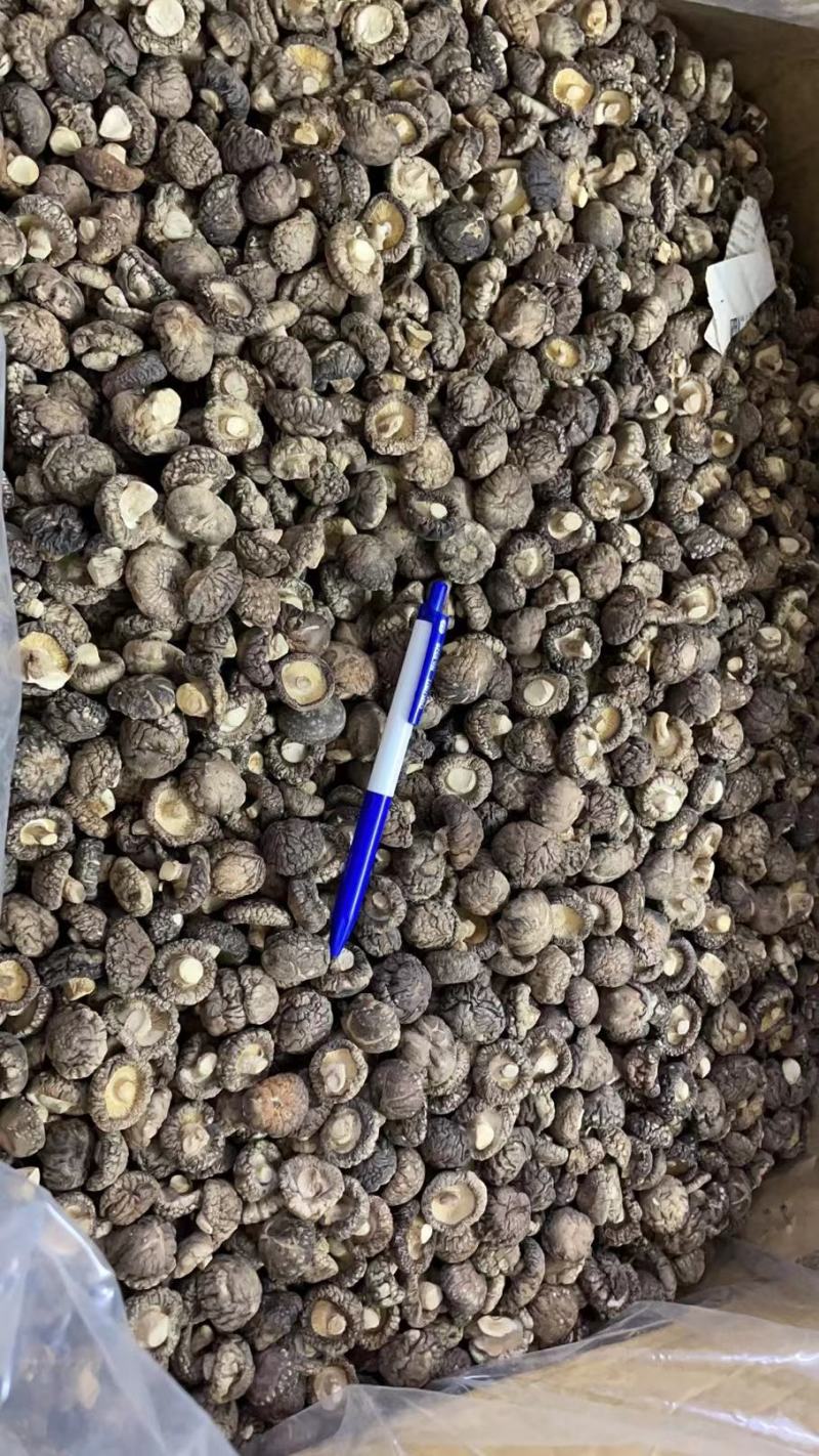 春栽冬菇精选特面产地直发，干香菇一手货源专业种植分装