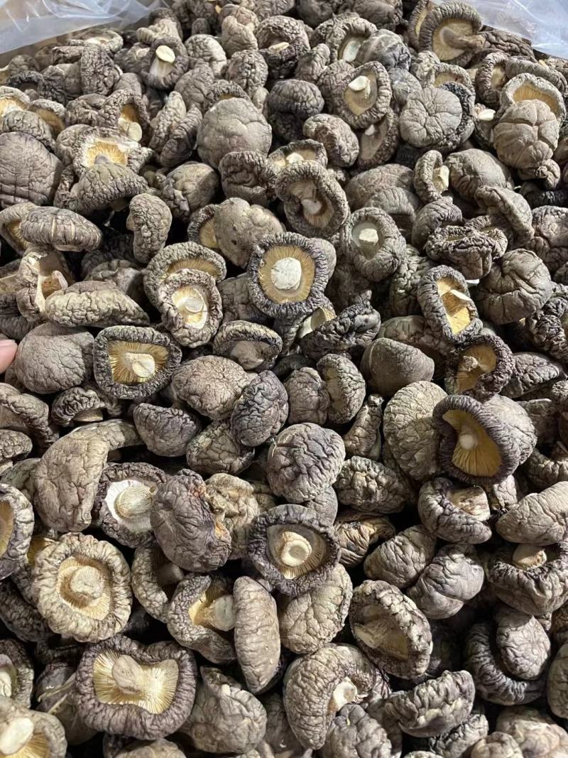 春栽冬菇精选特面产地直发，干香菇一手货源专业种植分装