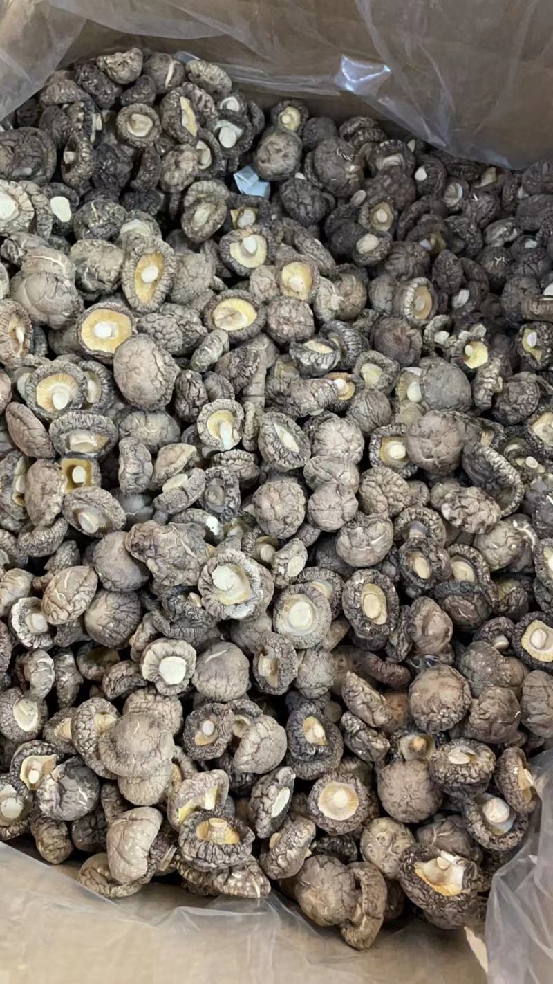 春栽冬菇精选特面产地直发，干香菇一手货源专业种植分装