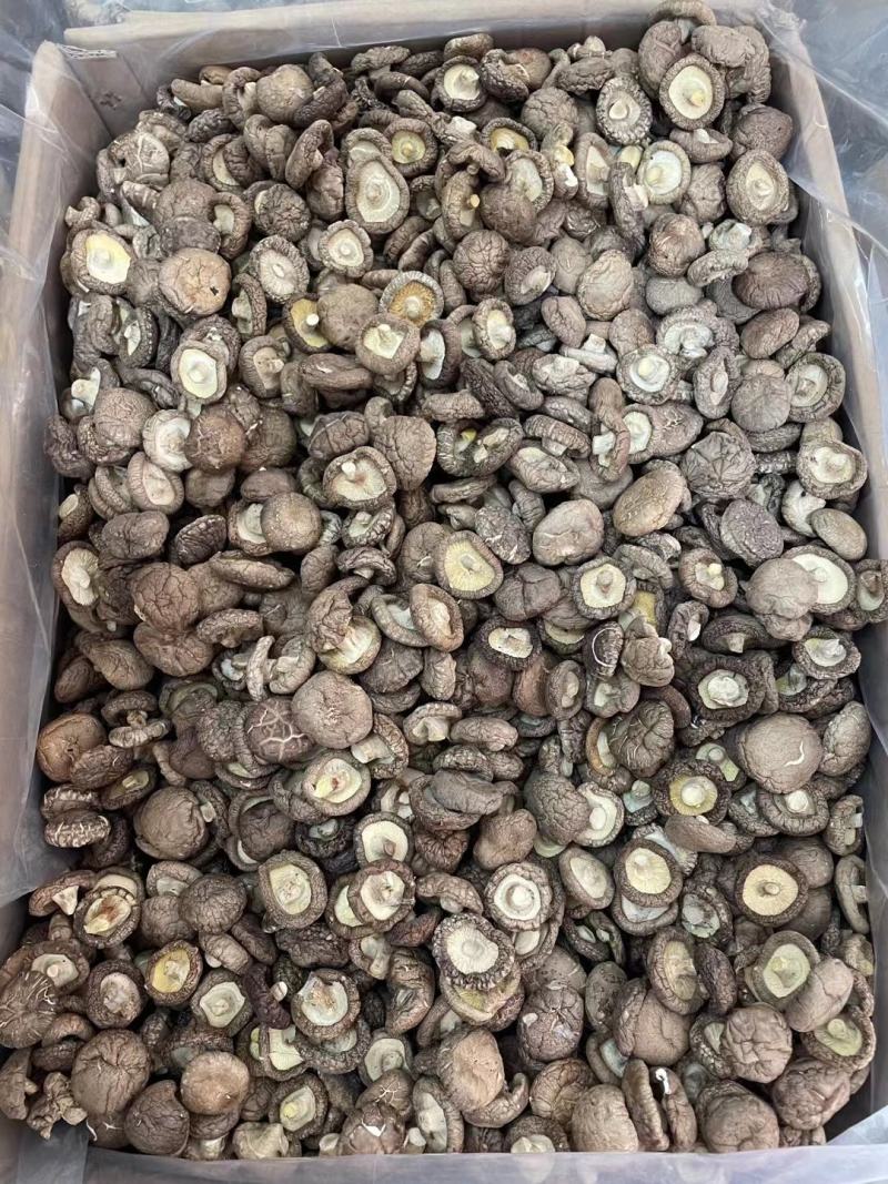春栽冬菇精选特面产地直发，干香菇一手货源专业种植分装