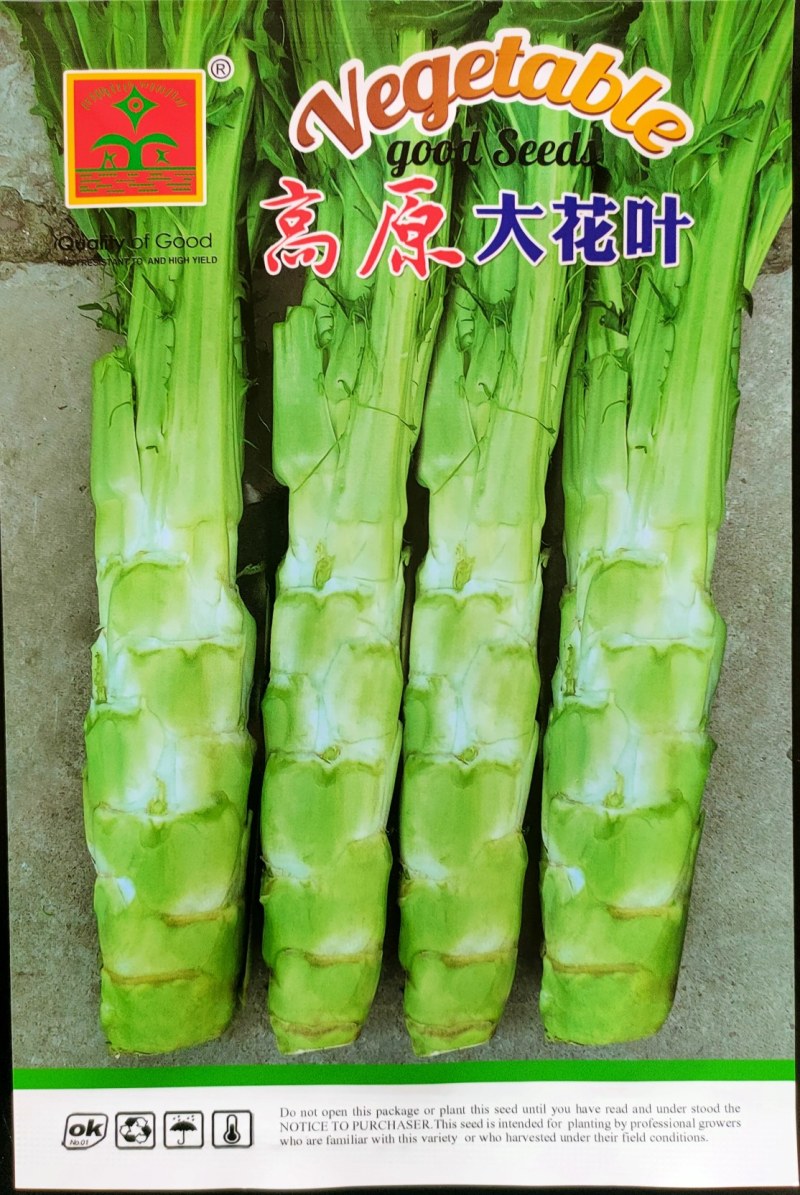 阿坝州棒菜种子高山大花叶棒菜种子高高海拔地区指定品种