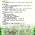 阿坝州棒菜种子高山大花叶棒菜种子高高海拔地区指定品种