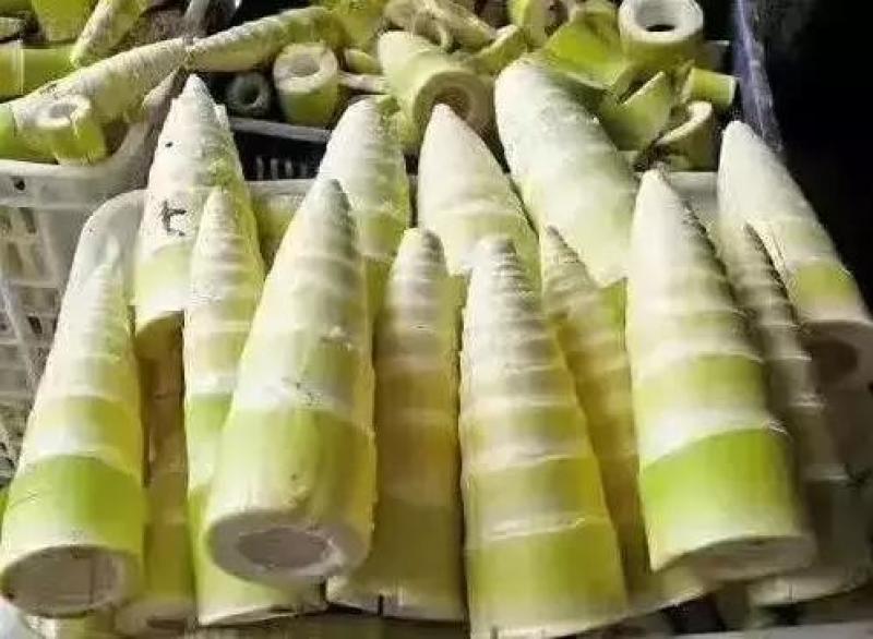 酸笋丝老坛酸笋，竹笋干笋西牛麻竹笋柳州螺蛳粉专用食材
