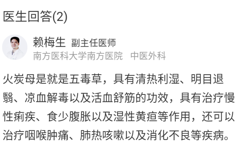 纯正野生中草药火炭母火炭星白饭草深山自采切段晒干新货