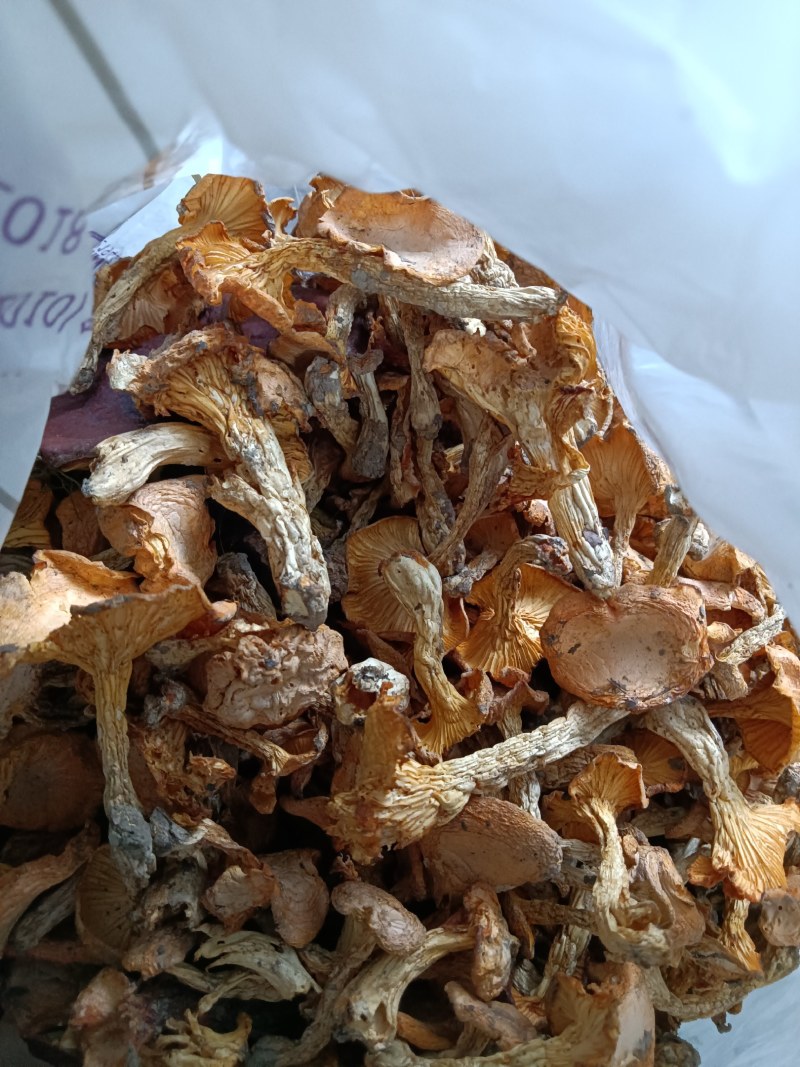 鸡油菌、黄丝菌