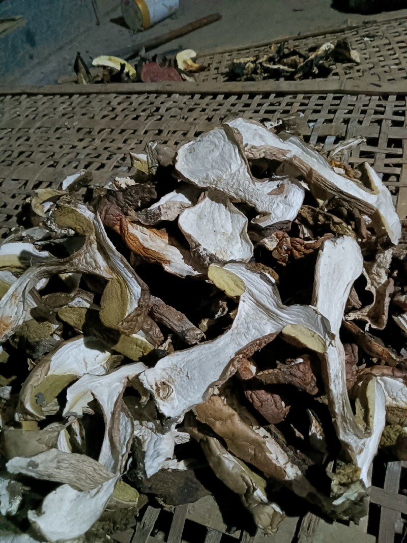 牛肝菌美味牛肝菌