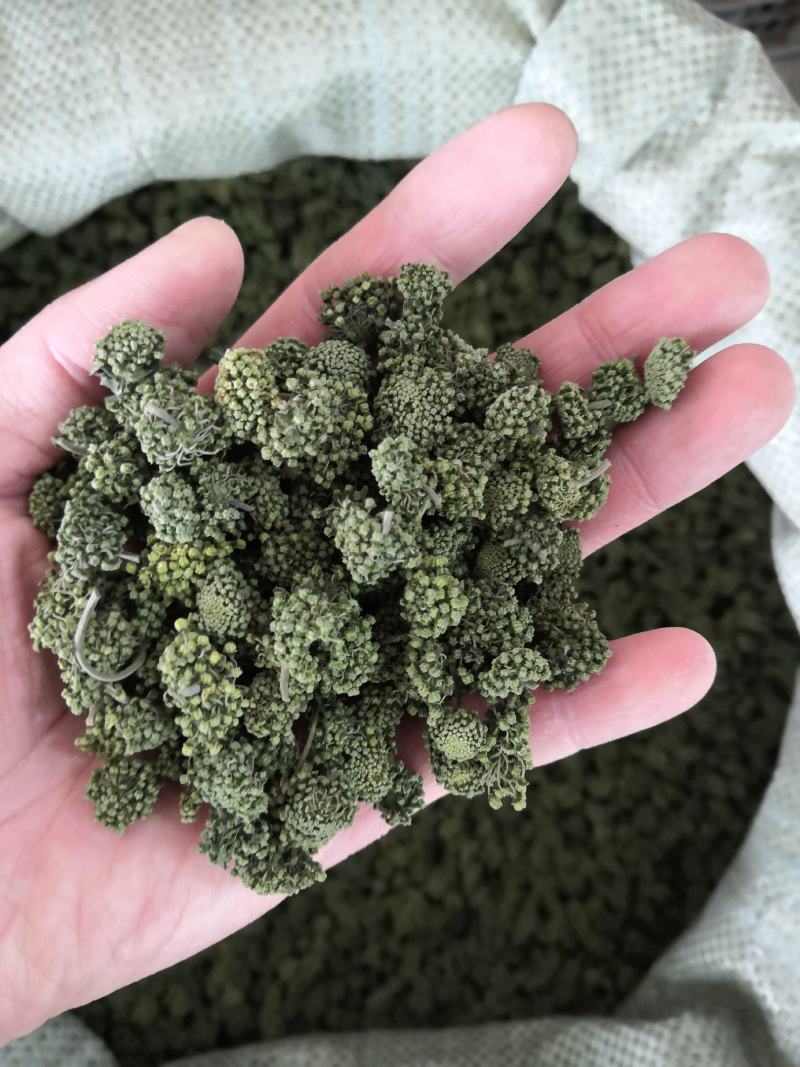 4年三七花2021头茬新货中药材批发