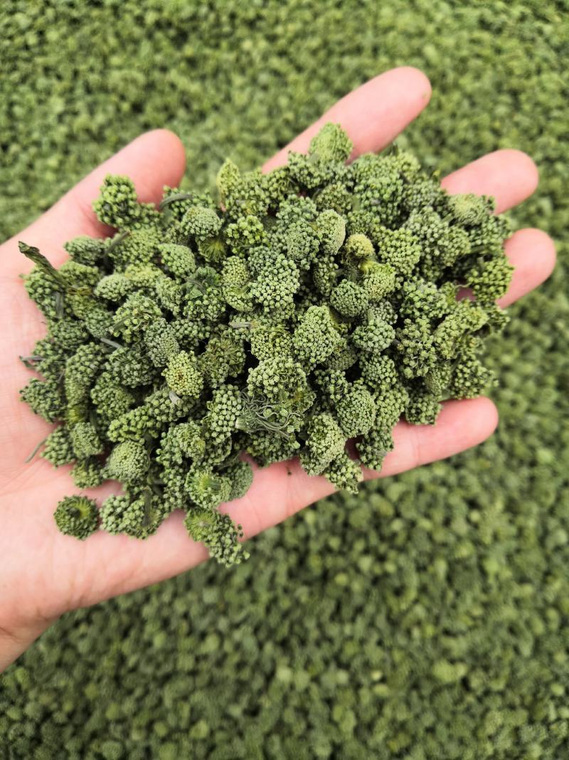 4年三七花2021头茬新货中药材批发