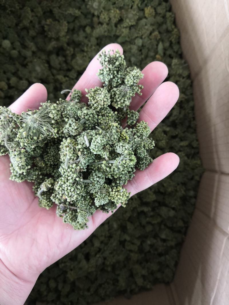 4年三七花2021头茬新货中药材批发