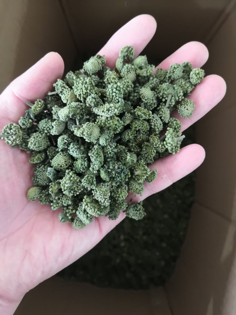 4年三七花2021头茬新货中药材批发