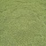4年三七花2021头茬新货中药材批发