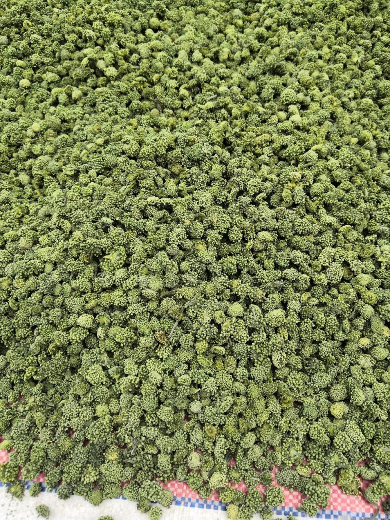 4年三七花2021头茬新货中药材批发
