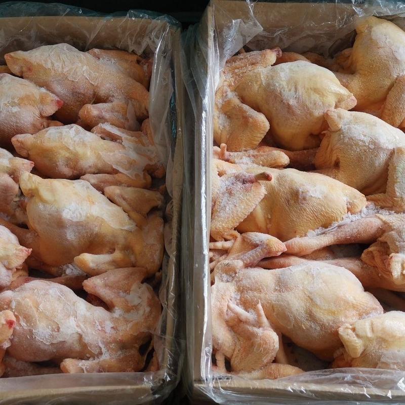 生鲜冷冻二级三黄鸡散养鸡残鸡整箱19斤厂家直销饭店食堂商