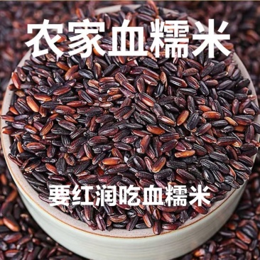 糯米黑糯米东北血糯米黑糯米农家黑糯米5斤装包邮