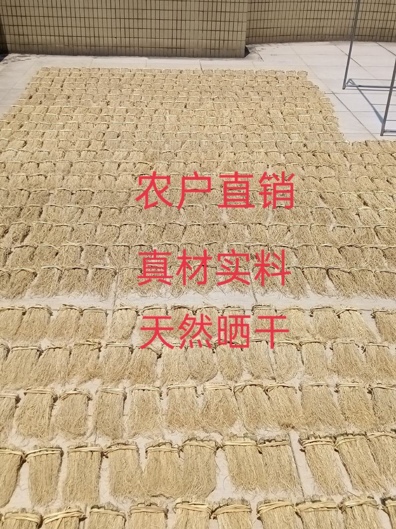 韶关养肝草种植户，质量干度保证，自种自加工厂长年现挖现卖